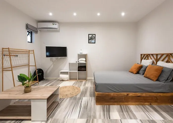 Lecosycanonniersstudio1